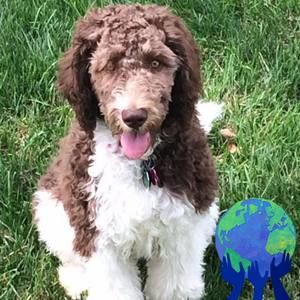 Meet your Posher, Steven